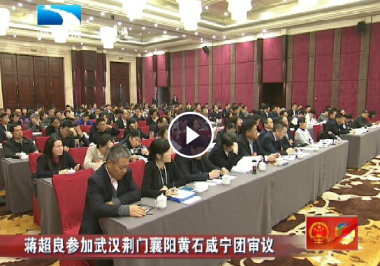蒋超良参加武汉荆门襄阳黄石咸宁团审议
