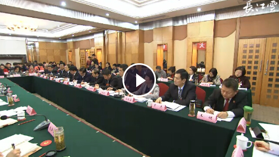 王晓东提出不待扬鞭自奋蹄 撸起袖子加油干