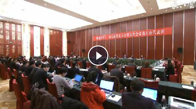 王晓东参加黄石咸宁随州代表团审议时提出提高质量和效益为中心