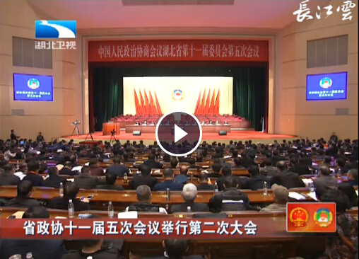 湖北省政协十一届五次会议举行第二次大会