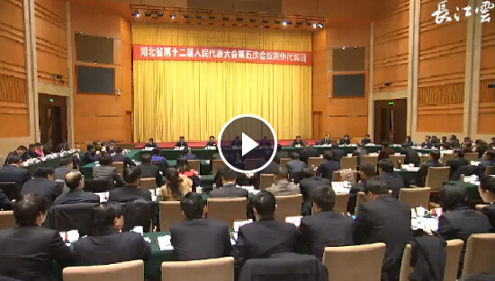 蒋超良提出加快培育和形成“多极发展”格局