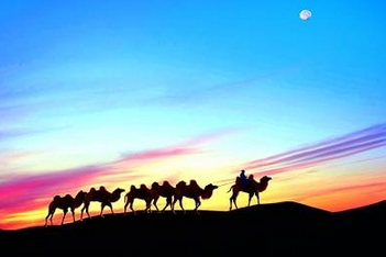 习近平：民心相通是“一带一路”建设的人文基础